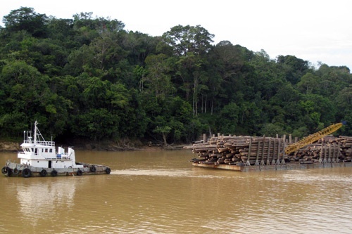 The logging industry in Sarawak. Photo: Heidi Sarna