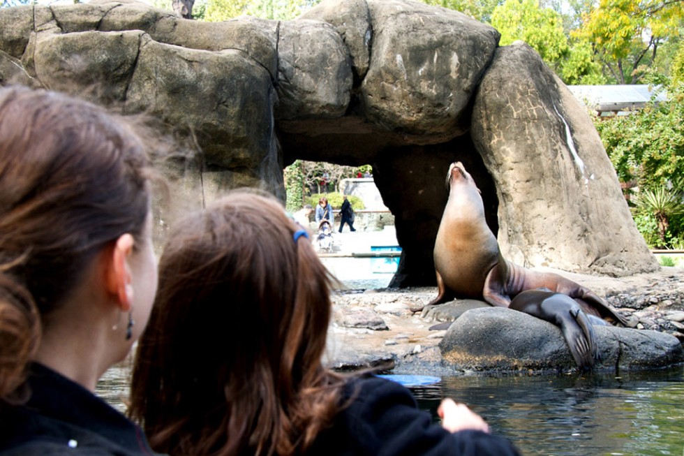 The Tisch Children's Zoo at the Central Park Zoo.