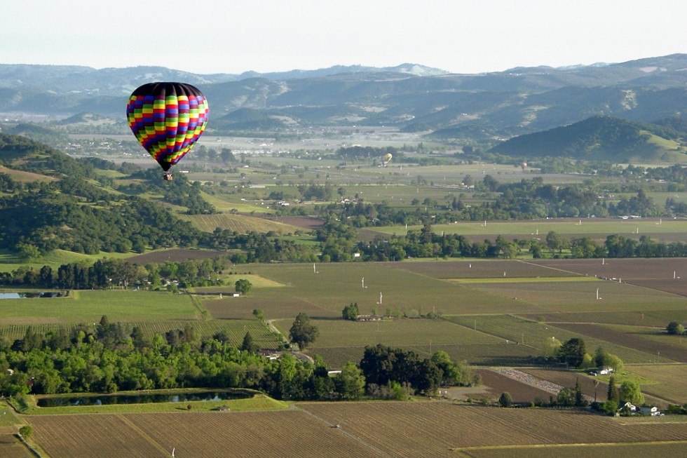 Balloons over the vineyards of Napa.