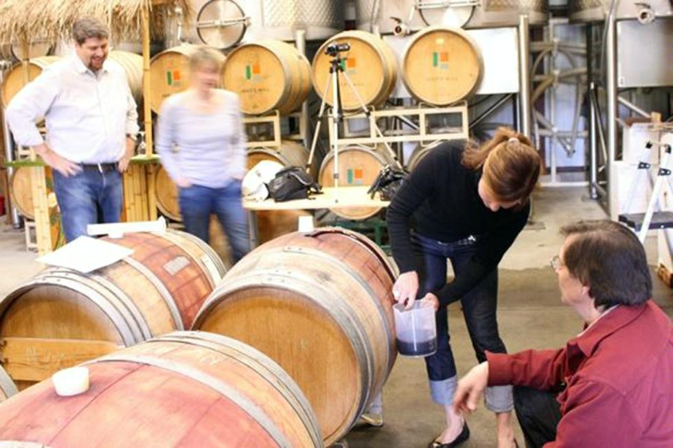 Barrel Blending Day Camps at Judd's Hill Winery in Napa Valley, California.