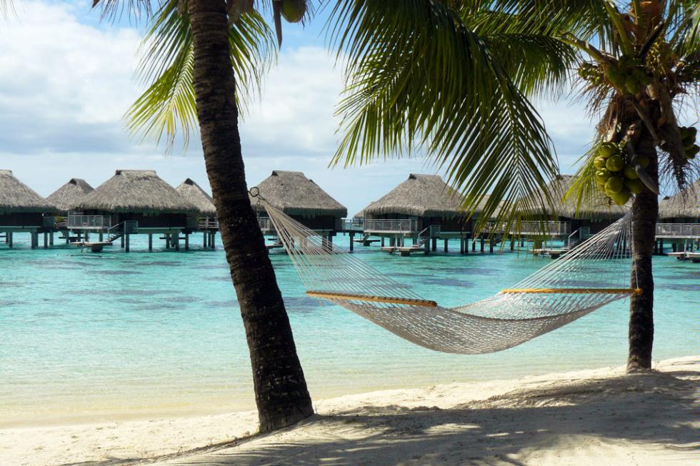 Relaxing in a hammock on the beach in Moorea, French Polynesia.