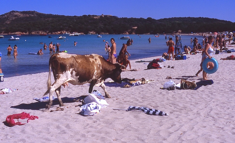 The beach Plage de Rondinara in Corsica, France