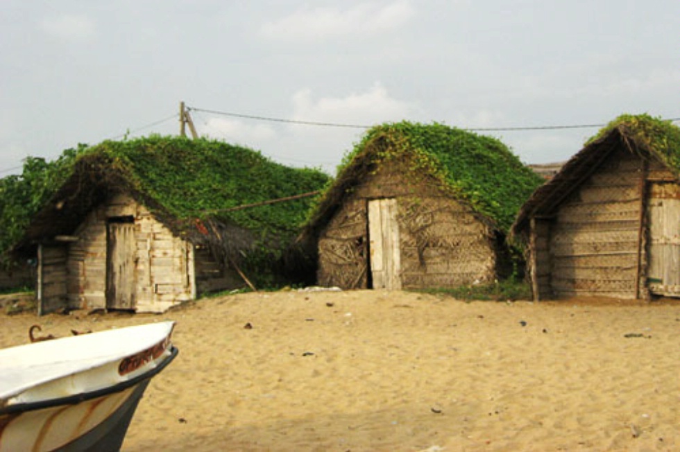 Fishermen's "green" huts on the Kalpitiya peninsula in Sri Lanka.