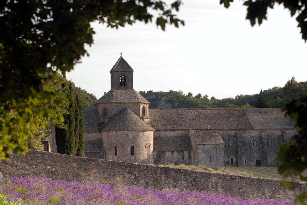 The Senanque Abbey is surrounded by lavender.