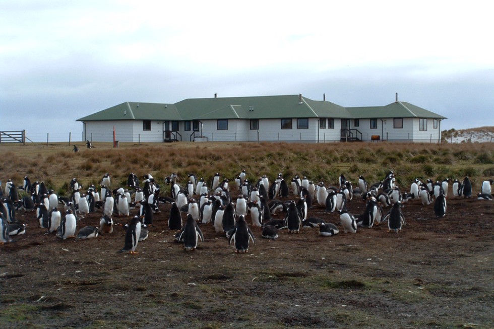Sea Lion Lodge on Sea Lion Island, Falkland Islands.