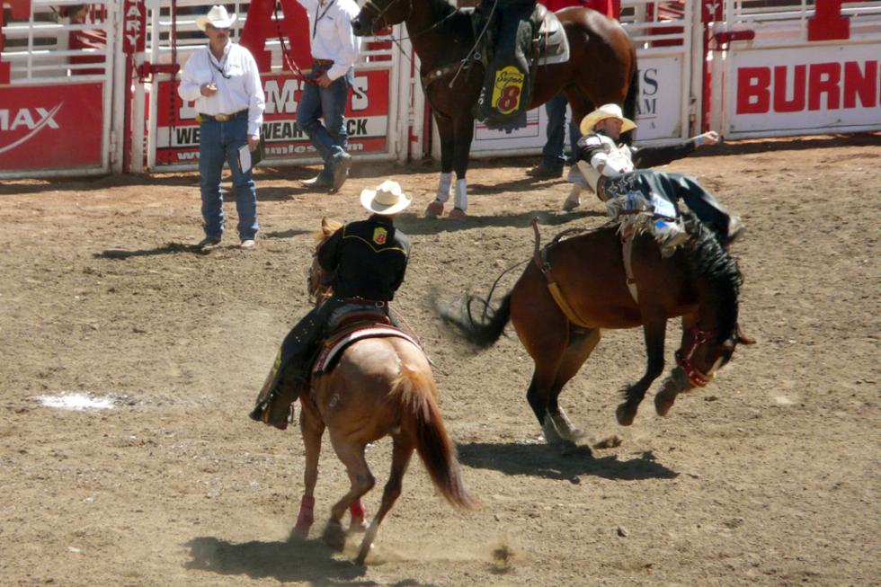 The Calgary Stampede Rodeo in Calgary, Canada.