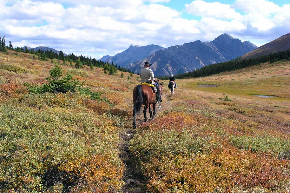 Trail riding in the Bow Valley in the Canadian Rockies.