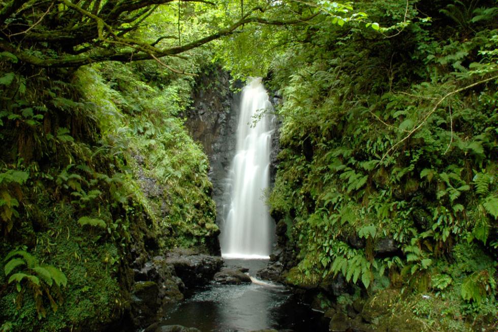 Cranny Falls waterfall in County Antrim, Ireland.