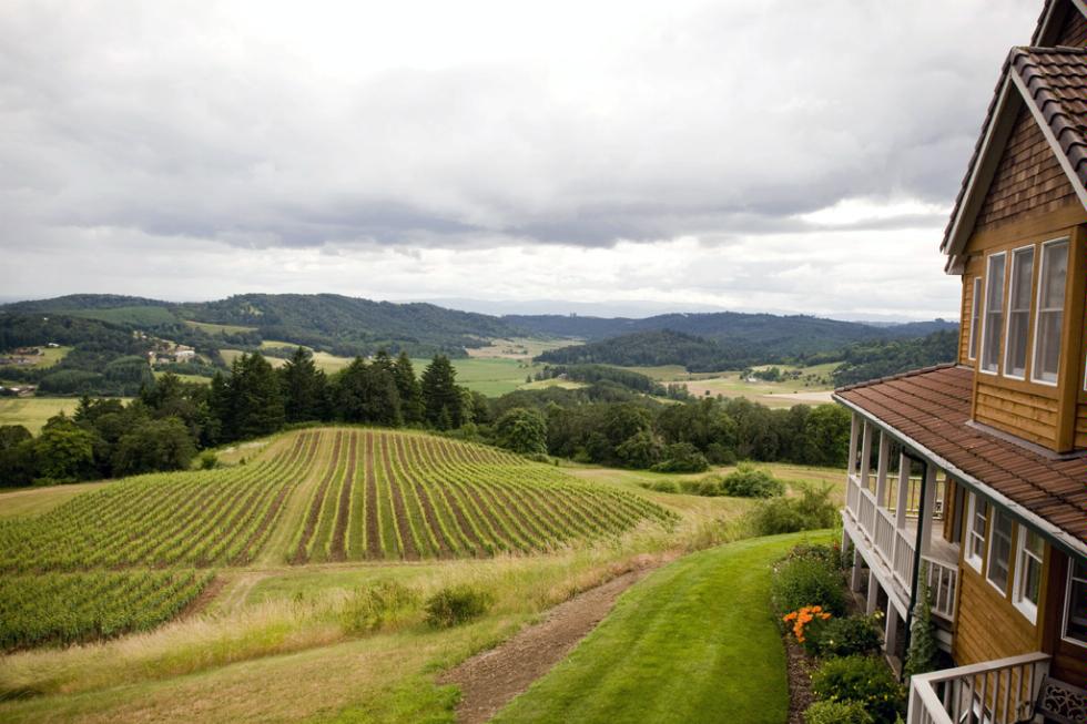 Youngberg Hill Vineyards, McMinnville.