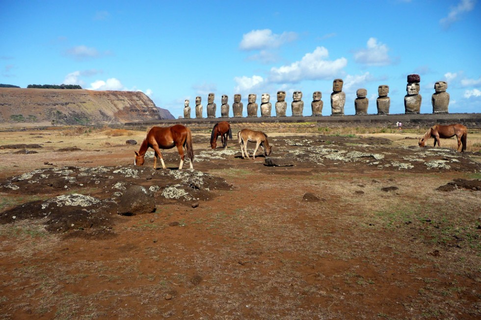 Horses graze in front of the Moai at Ahu Tongariki, Easter Island.