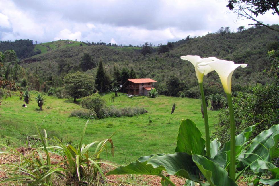 A farm in Santa Elena, Colombia.