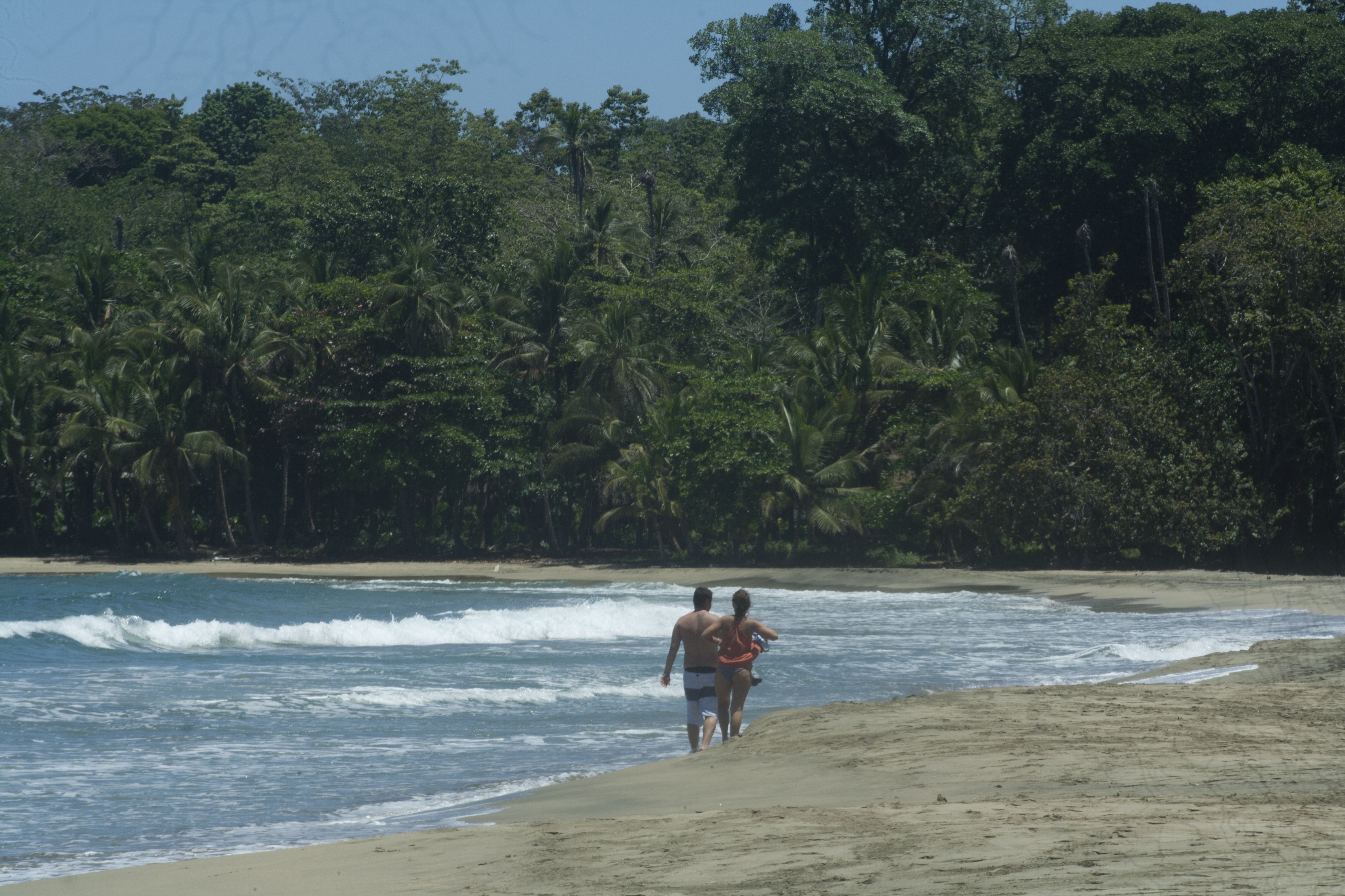 Things to Do in Limón | Frommer's