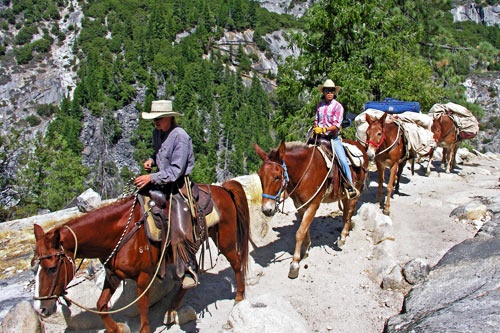Saddle Tip on the John Muir Trail. Photo courtesy DNC Parks & Resorts at Yosemite, Inc.