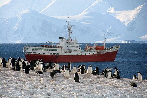 Rates for <em>The Antarctic Dream</em> (tel. <strong>800/344-6118</strong>; <strong><a href="http://www.alvoyages.com/ships/antarctic-dream/13/" target="_blank">www.alvoyages.com/ships/antarctic-dream/13/</a></strong>) are among the most reasonable currently available for Antarctic cruises, and through August 31st, you can save 10% on any cabins on its ship departing on December 7th. This cruise operator is also offering a 3-day camping trip option, led by specialized guides and including equipment; call or check the website for details.